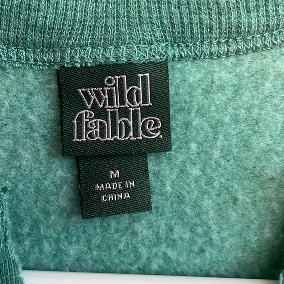 Wild fable Lake Tahoe cropped sweatshirt - Picture 3 of 3